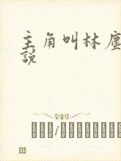 主角叫林尘的小说