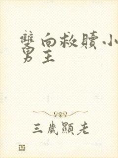 双向救赎小说双男主