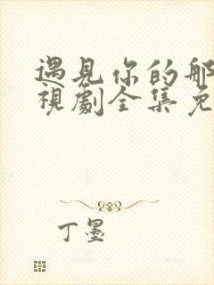 遇见你的那天电视剧全集免费观看