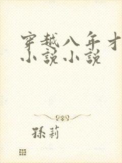 穿越八年才出道小说小说