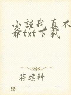 小说我真不是法爷txt下载