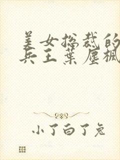 美女总裁的超级兵王叶尘枫