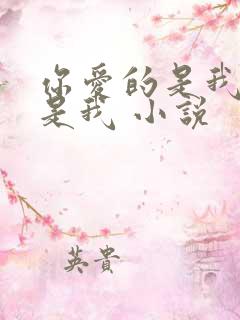 你爱的是我却不是我 小说