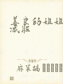 善良的姐姐未删减版