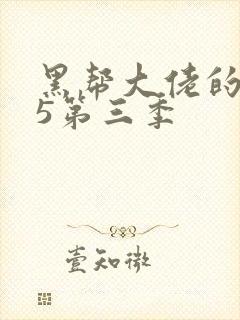 黑帮大佬的365第三季