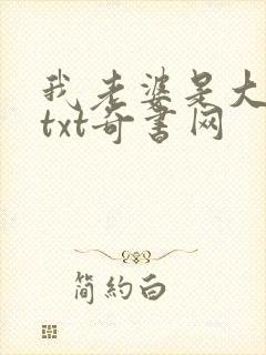 我老婆是大明星txt奇书网