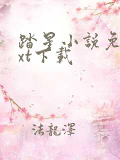 踏星小说免费txt下载