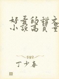 好看的甜文言情小说高质量文笔好