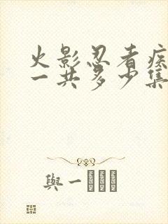 火影忍者疾风传一共多少集