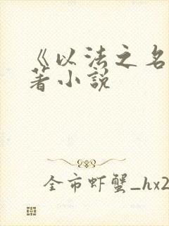 《以法之名》原著小说