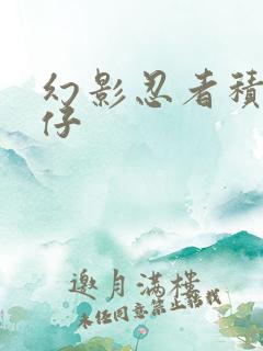 幻影忍者积木人仔