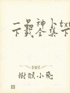 一品神卜txt下载全集下载