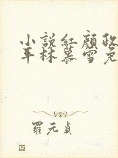 小说红颜政道周平林慕雪免费阅读