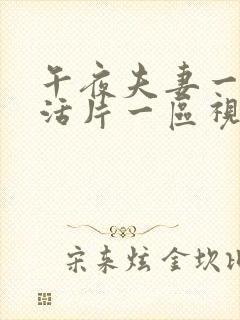 午夜夫妻一级生活片一区视频