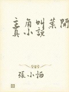 主角叫叶开的修真小说