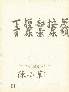 下腹部按压疼痛有尿意尿频