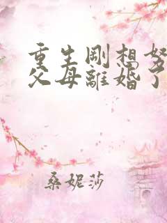 重生刚想努力,父母离婚了