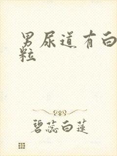 男尿道有白色颗粒