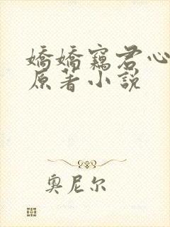 娇娇窃君心小说原著小说