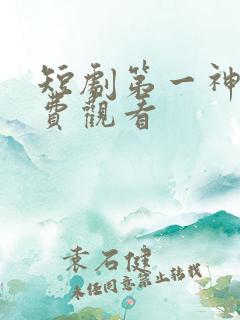 短剧第一神婿免费观看
