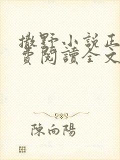 撒野小说正版免费阅读全文无删减