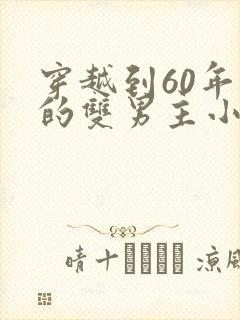 穿越到60年代的双男主小说