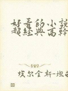 好看的小说推荐超经典高干文