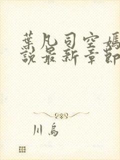 叶凡司空嫣然小说最新章节