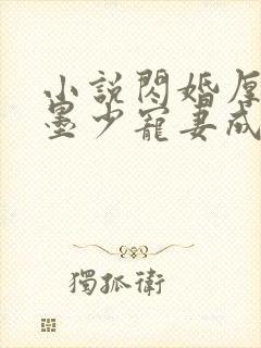 小说闪婚厚爱:墨少宠妻成瘾