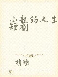 小龙的人生巅峰短剧