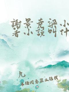 谢景尧梁小姐原著小说叫什么名字