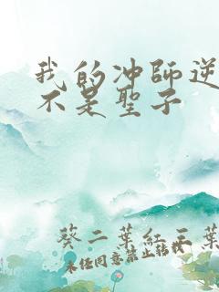 我的冲师逆徒才不是圣子