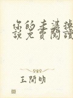 你的老婆掉了小说免费阅读