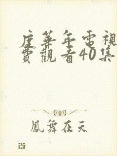 度华年电视剧免费观看40集