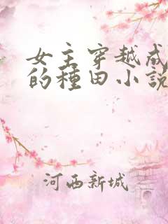 女主穿越成恶妇的种田小说