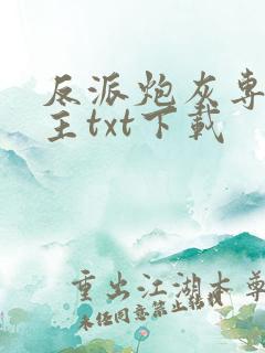 反派炮灰专偷女主txt下载