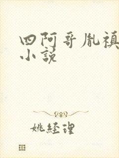 四阿哥胤禛所有小说