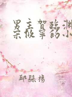 男主贺临渊女主宋攸宁的小说