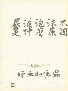 尿液泡沫不消散是什么原因