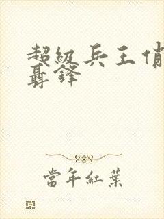 超级兵王俏总裁聂锋