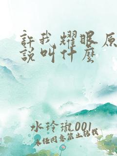 许我耀眼原著小说叫什么