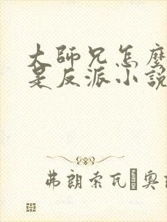 大师兄怎么可能是反派小说