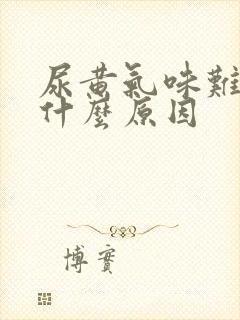 尿黄气味难闻是什么原因