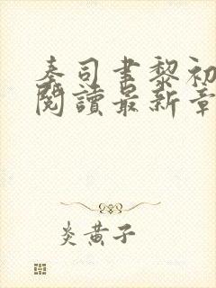 秦司聿黎初全文阅读最新章节