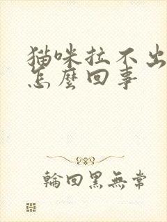 猫咪拉不出尿是怎么回事