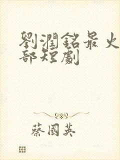 刘润铭最火的十部短剧