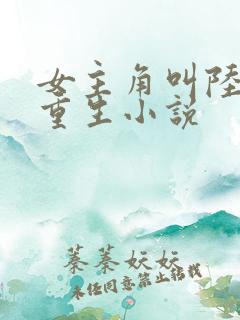 女主角叫陆瑶的重生小说