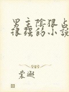 男主阴狠占有欲很强的小说古言