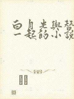 白月光与替身在一起的小说双男主