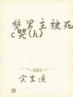 双男主被死对头c哭(h)